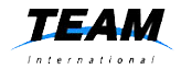 Team International logo